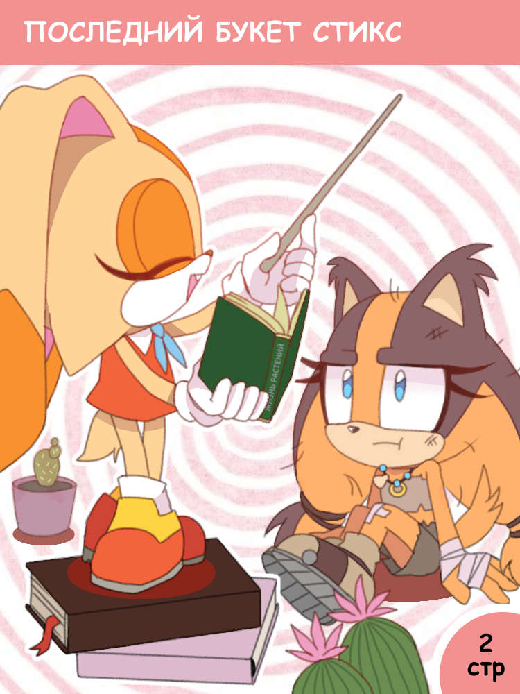 Первый и последний букет Стикс